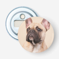 Crea tu propia foto personalizada de tu mascota