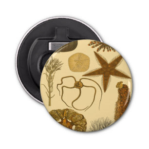 Abrebotellas Criaturas submarinas