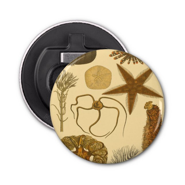 Abrebotellas Criaturas submarinas (Anverso)