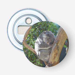 Abrebotellas Cuidada durmiendo a Koala en el árbol