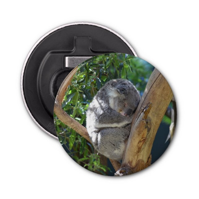 Abrebotellas Cuidada durmiendo a Koala en el árbol (Anverso)