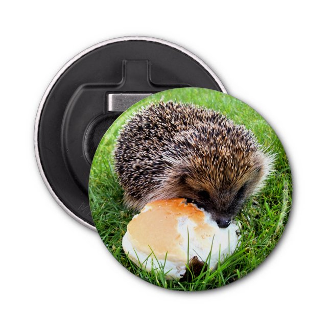 ABREBOTELLAS CUTE HEDGEHOG (Anverso)