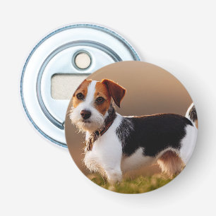 Abrebotellas Cute Jack Russel Terrier Dog Photography