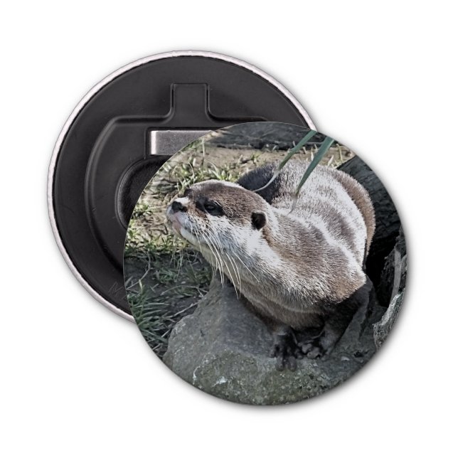 ABREBOTELLAS CUTE OTTER (Anverso)