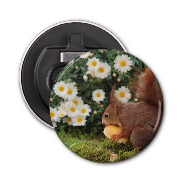 Abrebotellas Cute Red Squirrel and Daisies Photo (Anverso)