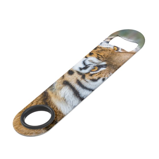 Abrebotellas De Bar Amur tiger (Ángulo trasero)