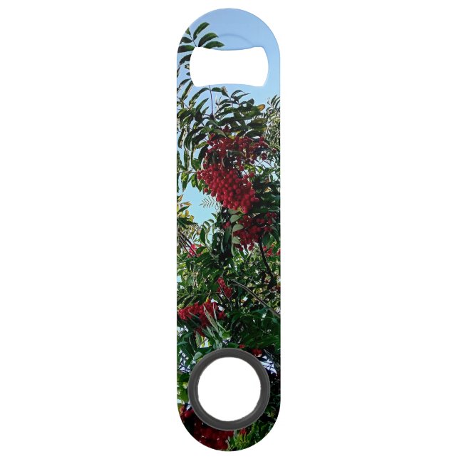 Abrebotellas De Bar Bayas rojas con hojas verdes oscuras (Anverso)