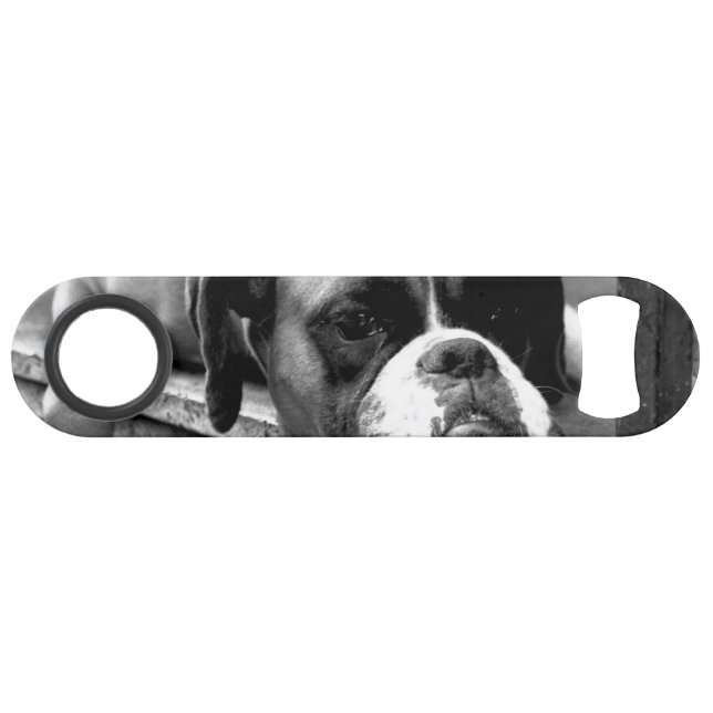 Abrebotellas De Bar Boxer Dog En Windowsill Bocna (Anverso (Horizontal))