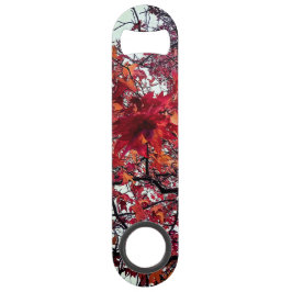 Abrebotellas De Bar Hojas rojas y naranjas