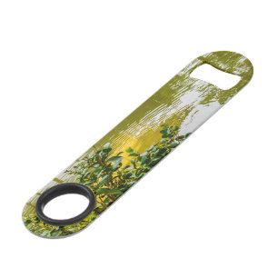 Abrebotellas De Bar Kinkaku-ji, el pabellón dorado, Kioto