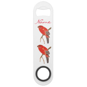 Abrebotellas De Bar Loro rojo tropical Thunder_Cove