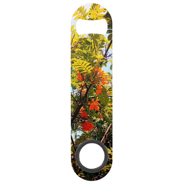 Abrebotellas De Bar Naranja berries (Anverso)