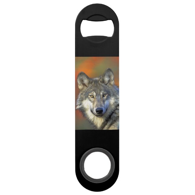 Abrebotellas De Bar Wolf_2015_0302 (Anverso)