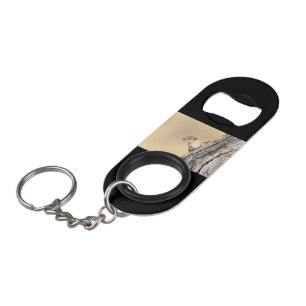 Abrebotellas De Llavero Ardilla de árbol