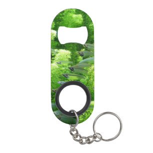 Abrebotellas De Llavero Bajío de pescados de plata transparentes