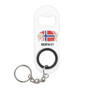 Abrebotellas De Llavero Bandera noruega