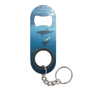 Abrebotellas De Llavero Dolphin Family Underwater