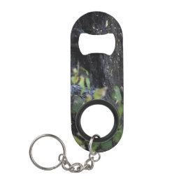 Abrebotellas De Llavero La secuencia invisible