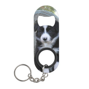 Abrebotellas De Llavero Vida de la granja de cachorros de collie de borde,