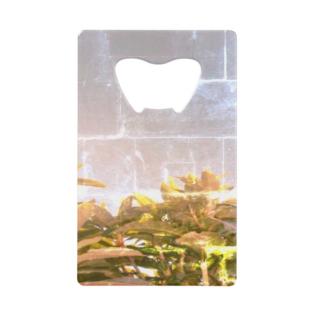 ABREBOTELLAS DE TARJETA DE CRÉDITO ABREBOTELLAS (Anverso)