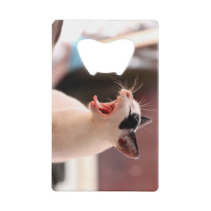 Abrebotellas De Tarjeta De Crédito Abrebotellas del gato