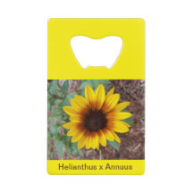Abrebotellas Helianthus Annuus