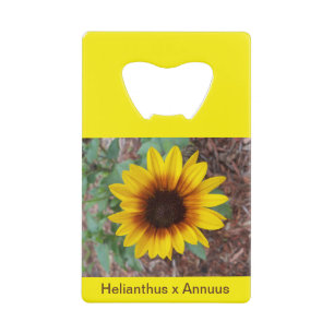 Abrebotellas De Tarjeta De Crédito Abrebotellas Helianthus Annuus