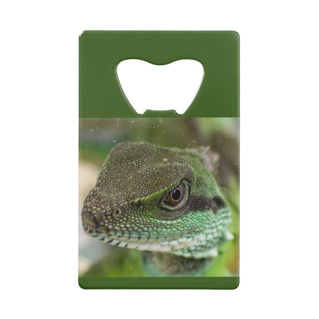 Abrebotellas De Tarjeta De Crédito Agama, lagarto (Anverso)