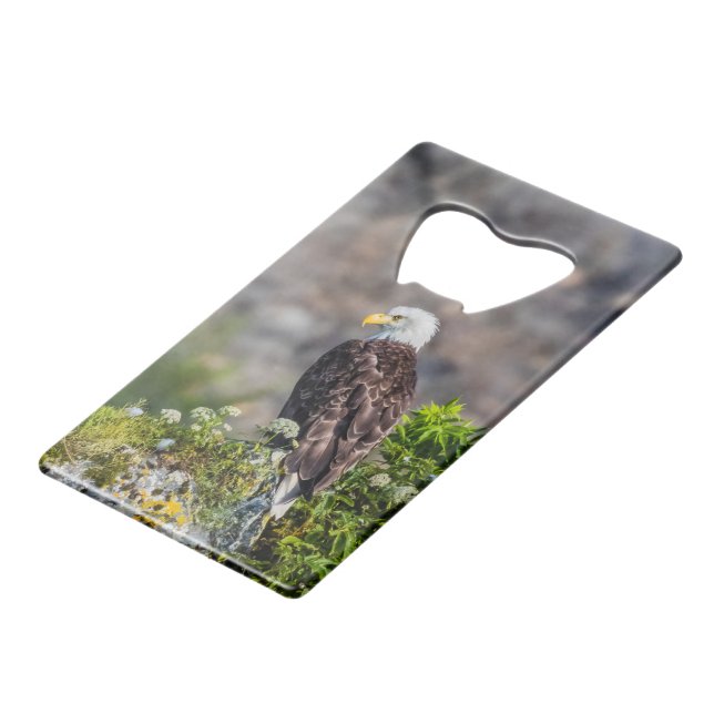 Abrebotellas De Tarjeta De Crédito Águila calva sentada en la roca (Ángulo frontal)