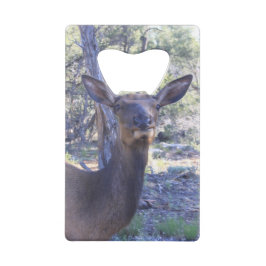 Abrebotellas De Tarjeta De Crédito Apertura de frasco de alce