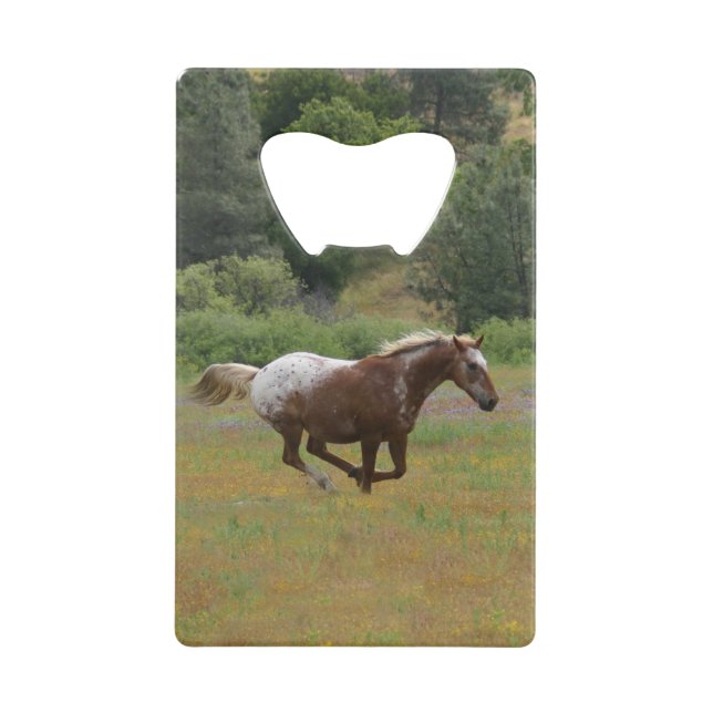 Abrebotellas De Tarjeta De Crédito Apertura del frasco de la tarjeta de crédito Appal (Anverso)