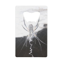 Abrebotellas De Tarjeta De Crédito Apertura del frasco de tarjeta de crédito Spider