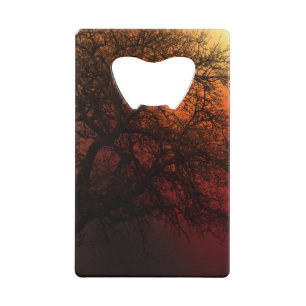 Abrebotellas De Tarjeta De Crédito Árbol de invierno de la silueta de sol