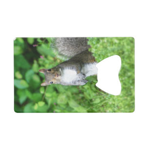 Abrebotellas De Tarjeta De Crédito Ardilla