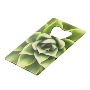 Abrebotellas De Tarjeta De Crédito Arte Cacti verde exitoso