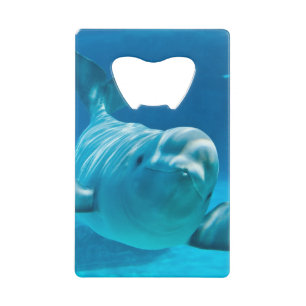 Abrebotellas De Tarjeta De Crédito Ballena de la beluga