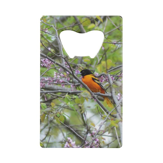 Abrebotellas De Tarjeta De Crédito Baltimore Oriole (Reverso)
