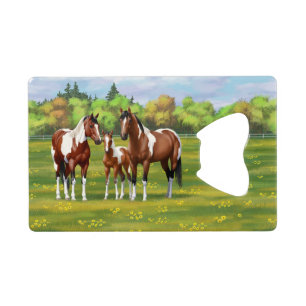 Abrebotellas De Tarjeta De Crédito Bay Pinto Paint Quarter Caballos En Pastor De Vera