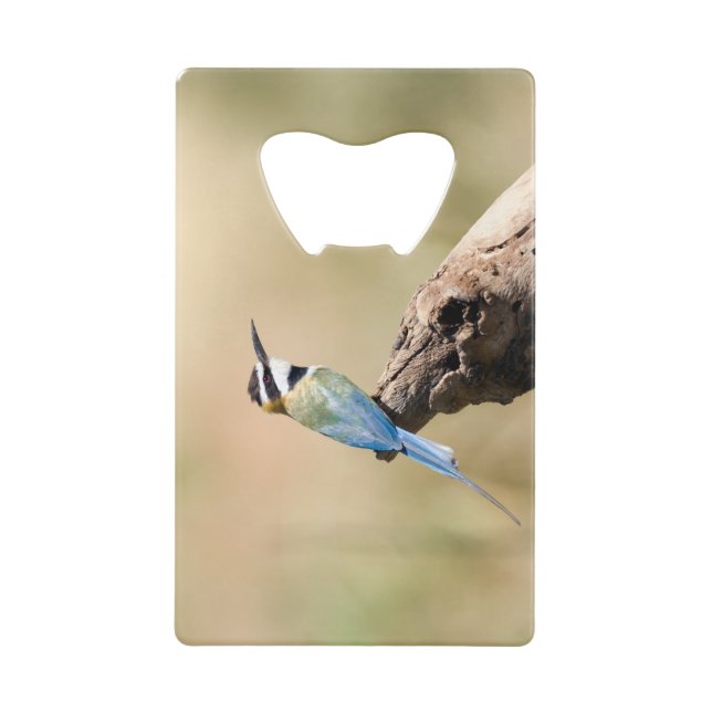 Abrebotellas De Tarjeta De Crédito Bee-eater (Anverso)