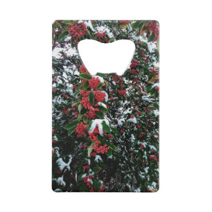 Abrebotellas De Tarjeta De Crédito Bellas rojas