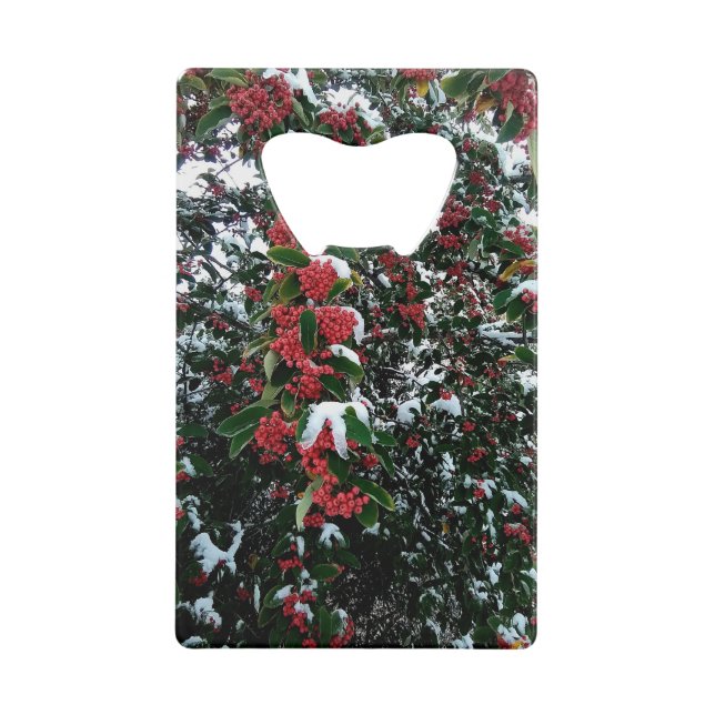 Abrebotellas De Tarjeta De Crédito Bellas rojas (Anverso)