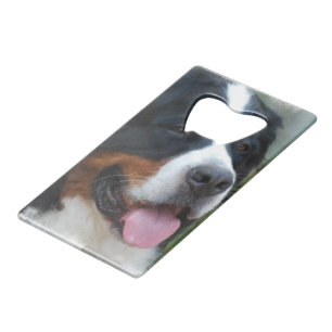 Abrebotellas De Tarjeta De Crédito bernese-mountain-dog-7