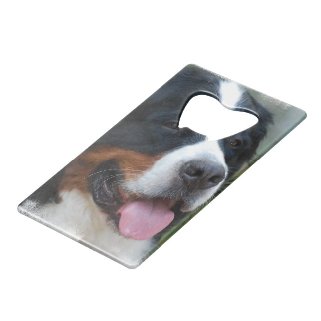 Abrebotellas De Tarjeta De Crédito bernese-mountain-dog-7 (Ángulo frontal)