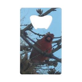 Abrebotellas De Tarjeta De Crédito Bird