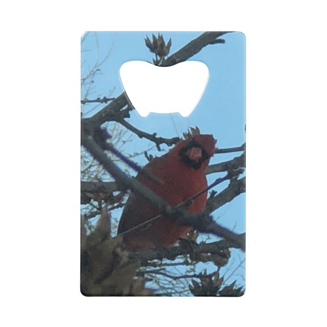 Abrebotellas De Tarjeta De Crédito Bird (Anverso)