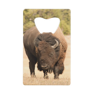 Abrebotellas De Tarjeta De Crédito Bisonte