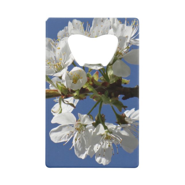 Abrebotellas De Tarjeta De Crédito Bloom de Primavera Blanca (Anverso)