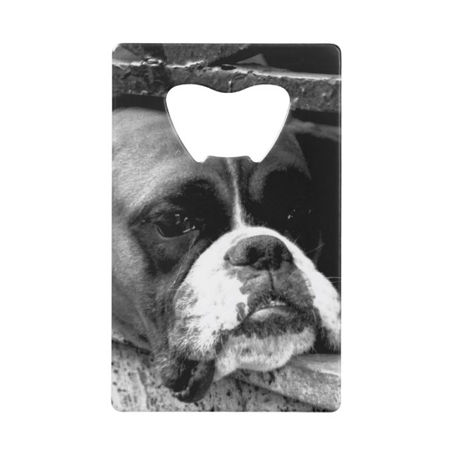 Abrebotellas De Tarjeta De Crédito Boxer Dog En Windowsill Bocna (Anverso)