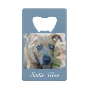Abrebotellas De Tarjeta De Crédito Brindle Pit Bull con una foto de Shirley Taylor