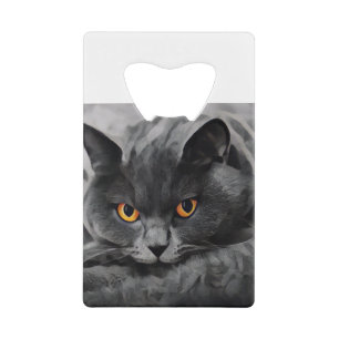 Abrebotellas De Tarjeta De Crédito British Shorthair Kitty